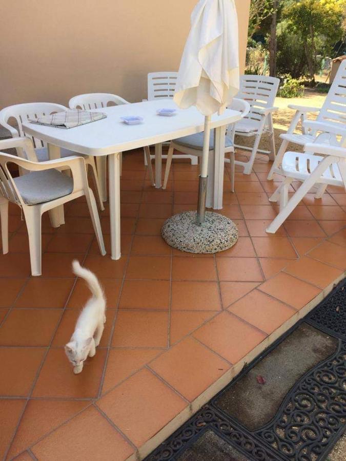 Villa Casa Maltinu à Santa Teresa Gallura Extérieur photo