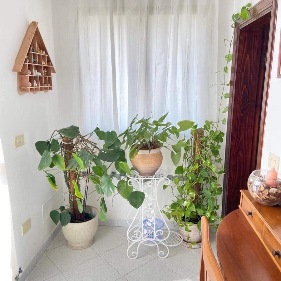 Villa Casa Maltinu à Santa Teresa Gallura Extérieur photo