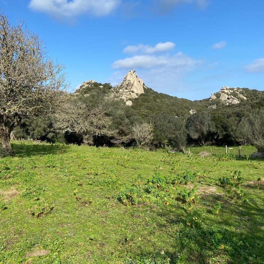 Villa Casa Maltinu à Santa Teresa Gallura Extérieur photo
