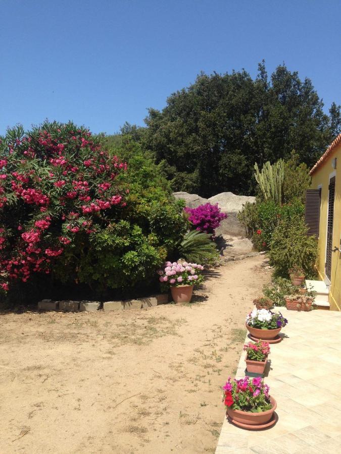 Villa Casa Maltinu à Santa Teresa Gallura Extérieur photo
